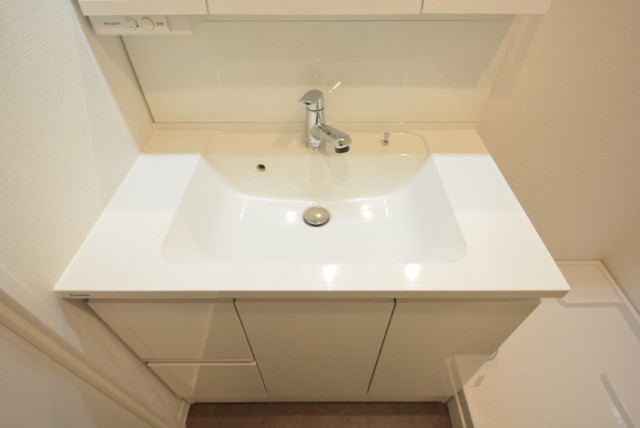 ライオンズマンション護国寺 洗面室