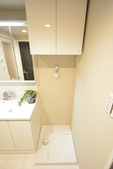 西蒲田スカイハイツ 洗面室