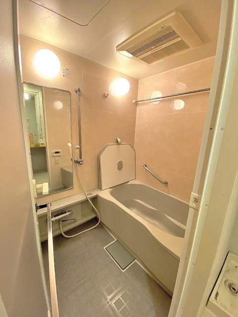 小豆沢パークホームズ (49)