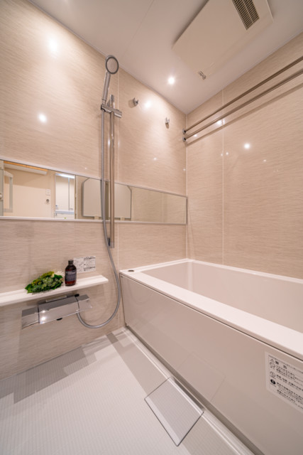 ドム学芸大 (6) ドム学芸大 (6)