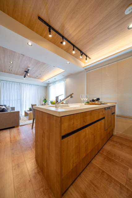 ドム学芸大 (7) ドム学芸大 (7)