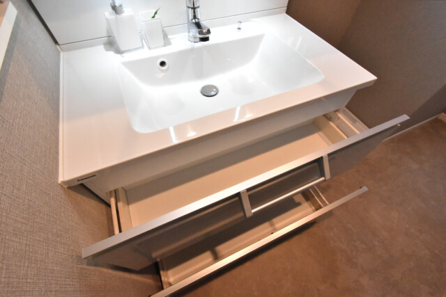 秀和目黒駅前レジデンス 洗面室