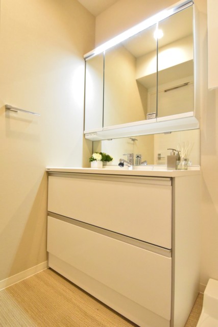 グランドシティ白山 洗面室