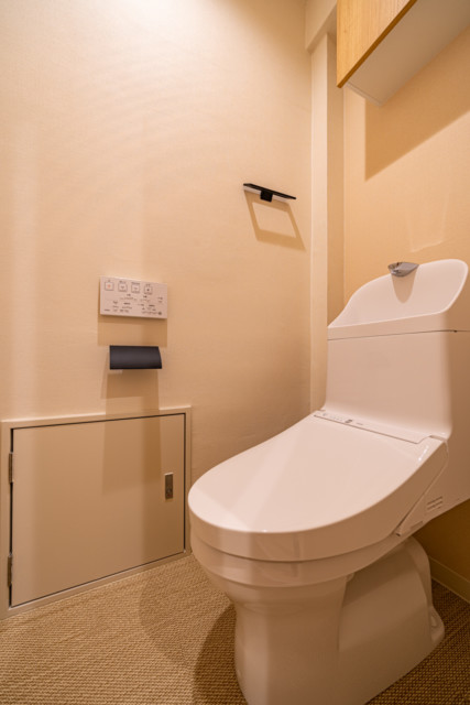 ドム学芸大 (11) ドム学芸大 (11)