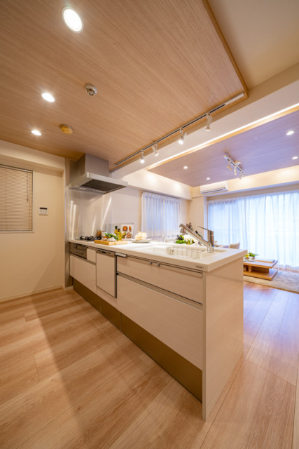 ダイアパレス東神田 (5)