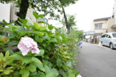 キクエイパレス自由が丘 周辺