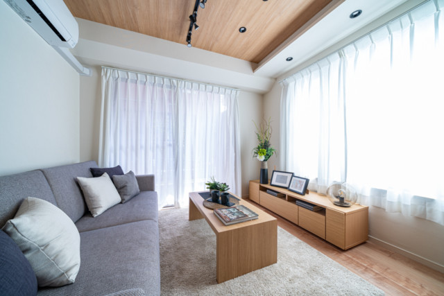 ドム学芸大 (12) ドム学芸大 (12)