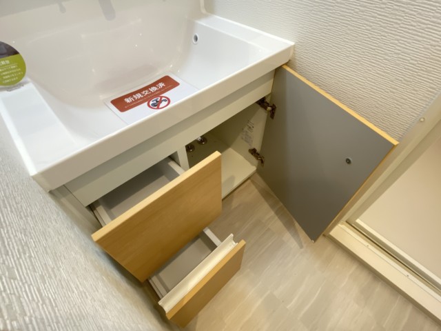 ライオンズマンション西五反田 洗面室