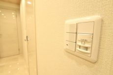 グランドシティ白山 玄関