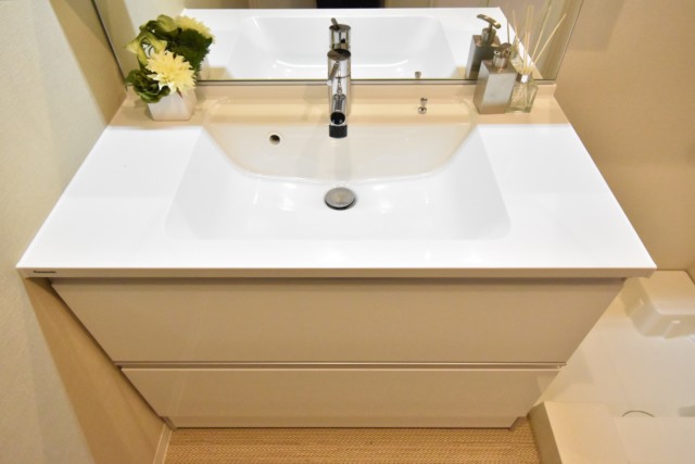 グランドシティ白山 洗面室