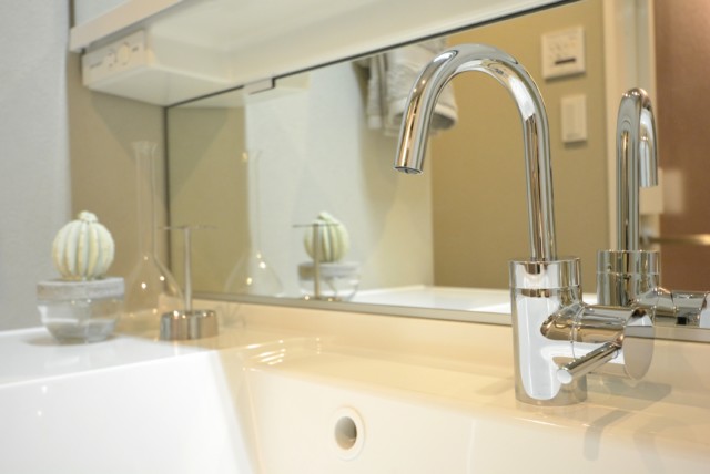 キクエイパレス自由が丘 洗面室