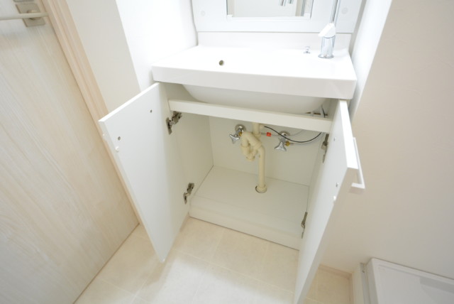 パレス三條 洗面室