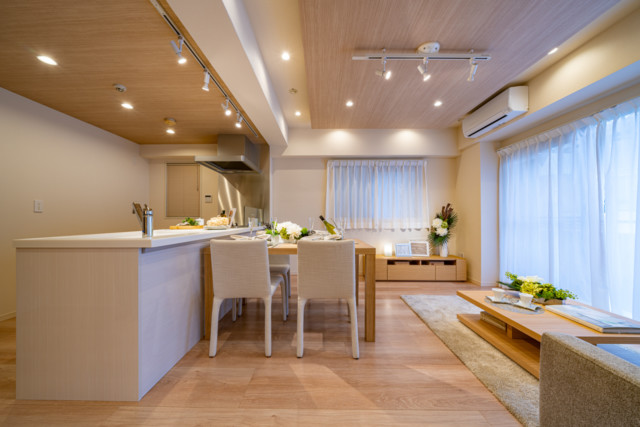 ダイアパレス東神田 (10)