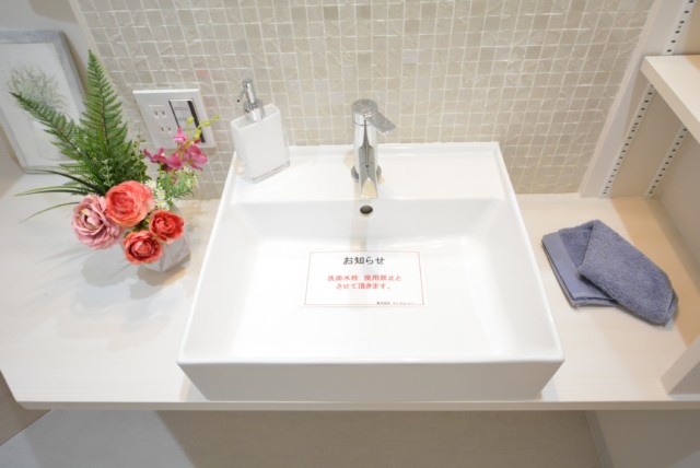 柿の木坂スカイマンション 洗面室