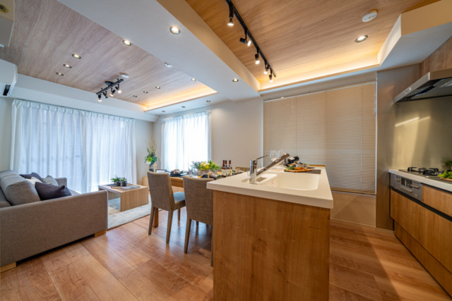 ドム学芸大 (13) ドム学芸大 (13)