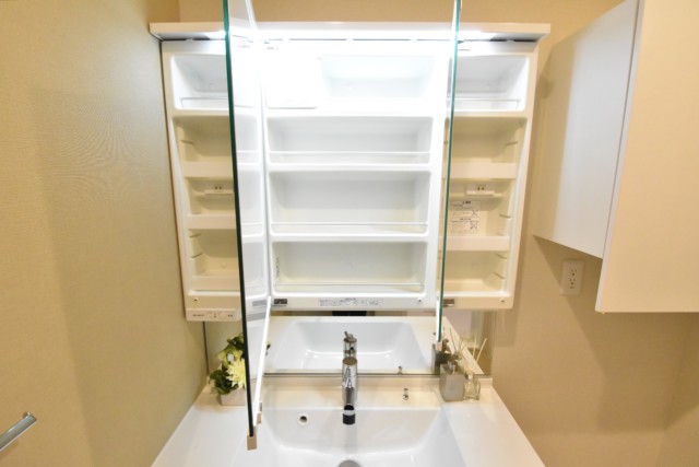 グランドシティ白山 洗面室