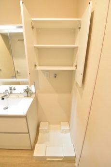 グランドシティ白山 洗面室