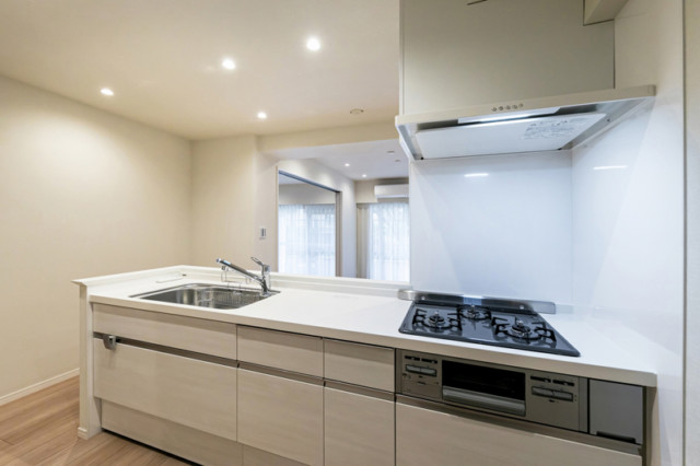 パークハイツ都立大 (3)