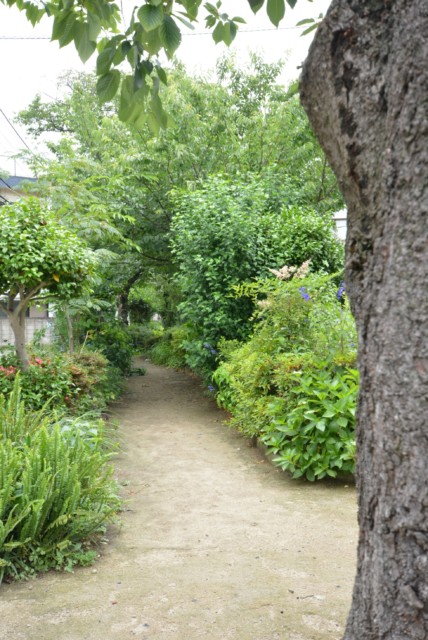 キクエイパレス自由が丘 周辺