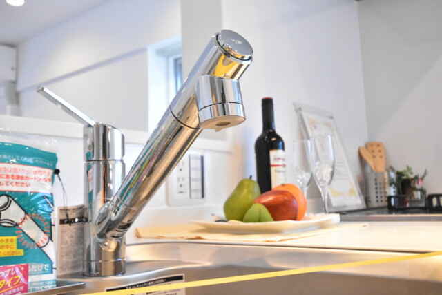 秀和目黒駅前レジデンス キッチン