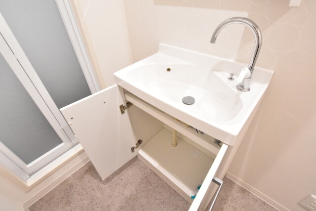 サンロイヤル五反田 洗面室