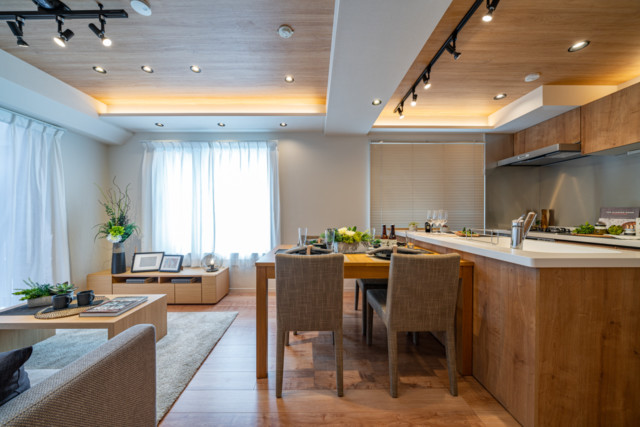 ドム学芸大 (1) ドム学芸大 (1)