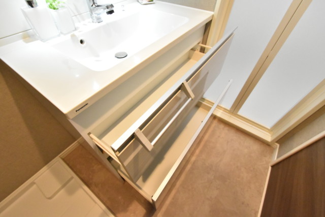 秀和目黒レジデンス 洗面室