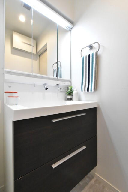 初穂マンションひがし京橋 洗面室