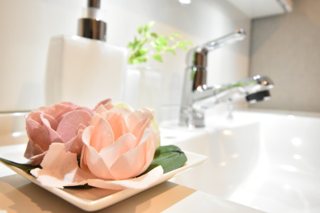 秀和目黒レジデンス 洗面室