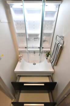 初穂マンションひがし京橋 洗面室