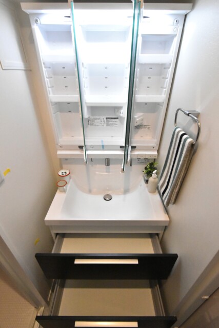 初穂マンションひがし京橋 洗面室
