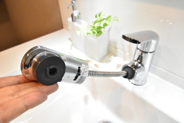 秀和目黒レジデンス 洗面室