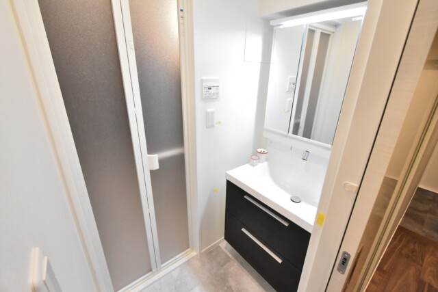 初穂マンションひがし京橋 洗面室