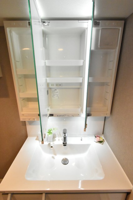 秀和目黒レジデンス 洗面室