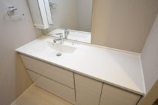 シルバープラザ白山 洗面室