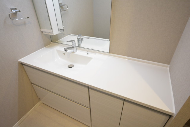 シルバープラザ白山 洗面室