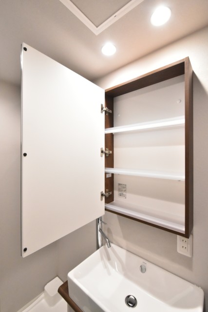 メガロン大森 洗面室