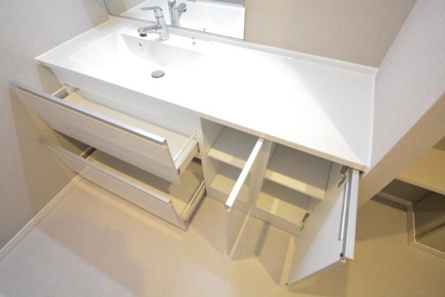 シルバープラザ白山 洗面室