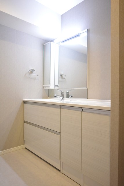 シルバープラザ白山 洗面室