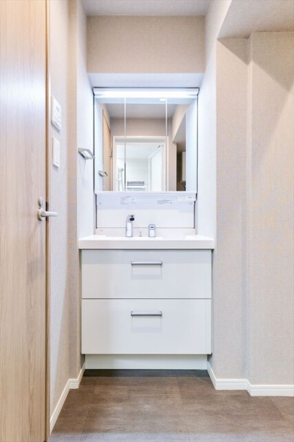 シルバープラザ白山 洗面室