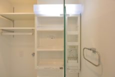 ハイライフ用賀 洗面室