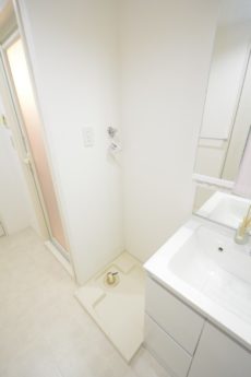 ノア新宿 洗面室