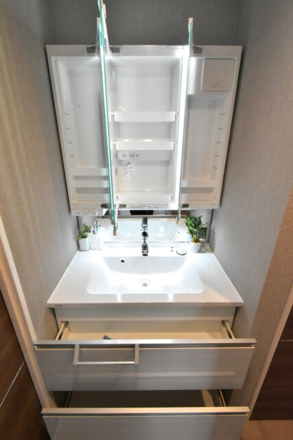 柿の木坂スカイマンション 洗面室