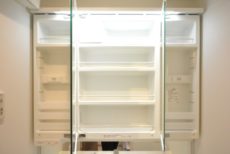 ライオンズマンション上野毛第３ 洗面室