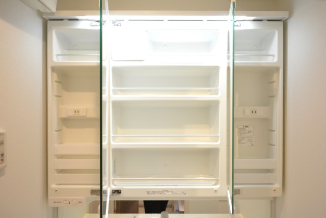 ライオンズマンション上野毛第３ 洗面室