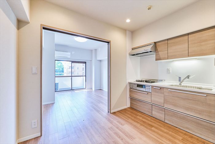 シルバープラザ白山 DK+洋室