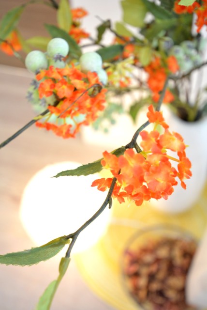 ライオンズマンション上野毛第３ LDK