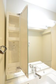 ライオンズマンション上野毛第３ 洗面室