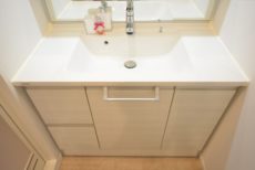 ライオンズマンション上野毛第３ 洗面室