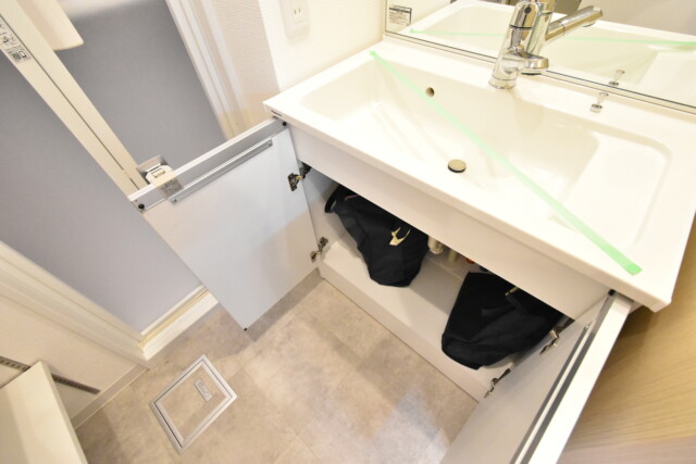 渋谷藤和コープ 洗面室